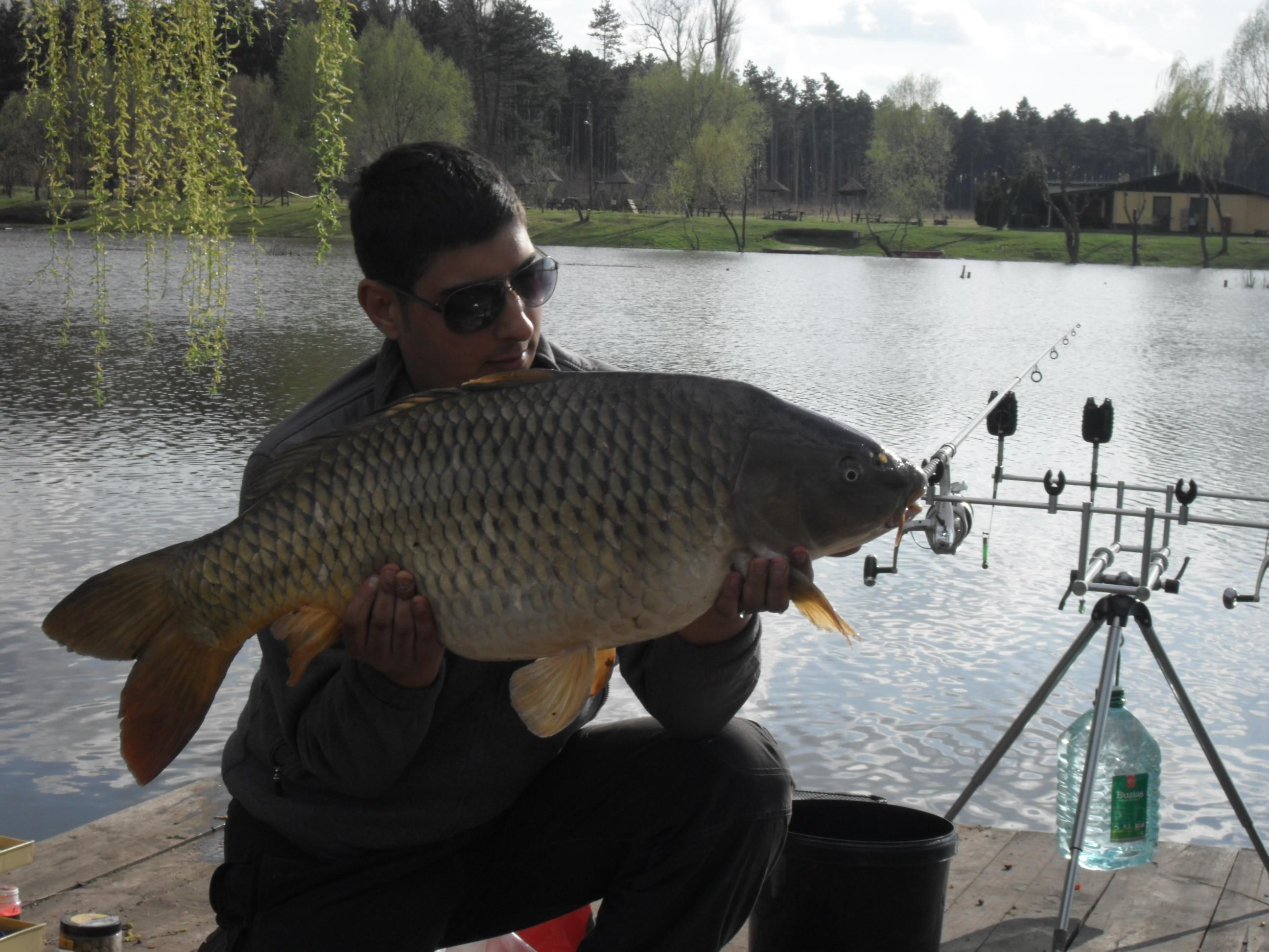 Palic 2012 primavara - SAM_0613.JPG